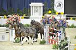WIHS4-10-28-11-ChesterWeber-1013-DDeRosaPhoto.JPG