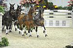 WIHS4-10-28-11-ChesterWeber-1026-DDeRosaPhoto.JPG