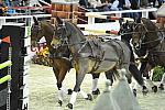 WIHS4-10-28-11-ChesterWeber-1036-DDeRosaPhoto.JPG