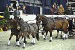 WIHS4-10-28-11-ChesterWeber-1042-DDeRosaPhoto.JPG