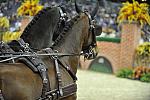 WIHS4-10-28-11-ChesterWeber-4205-DDeRosaPhoto.JPG