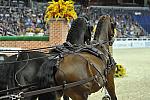 WIHS4-10-28-11-ChesterWeber-4206-DDeRosaPhoto.JPG