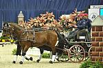 WIHS4-10-28-11-ChesterWeber-4209-DDeRosaPhoto.JPG