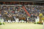 WIHS4-10-28-11-ChesterWeber-4211-DDeRosaPhoto.JPG
