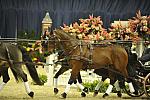 WIHS4-10-28-11-ChesterWeber-4222-DDeRosaPhoto.JPG