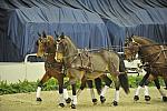 WIHS4-10-28-11-ChesterWeber-4227-DDeRosaPhoto.JPG