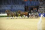 WIHS4-10-28-11-ChesterWeber-4232-DDeRosaPhoto.JPG
