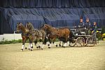 WIHS4-10-28-11-ChesterWeber-4233-DDeRosaPhoto.JPG