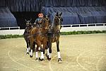 WIHS4-10-28-11-ChesterWeber-4236-DDeRosaPhoto.JPG