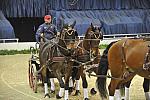 WIHS4-10-28-11-ChesterWeber-4238-DDeRosaPhoto.JPG