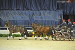 WIHS4-10-28-11-ChesterWeber-4248-DDeRosaPhoto.JPG