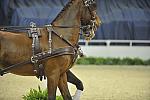 WIHS4-10-28-11-ChesterWeber-4255-DDeRosaPhoto.JPG