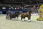 WIHS4-10-28-11-ChesterWeber-8434-DDeRosaPhoto.JPG