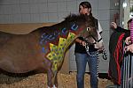 WIHS5-10-29-11-KidsDay-5077-DDeRosaPhoto.JPG