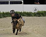 WIHS3-10-27-11-MuttonBusting-2542-DDeRosaPhoto.JPG