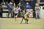 WIHS3-10-27-11-MuttonBusting-2622-DDeRosaPhoto.JPG