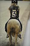WIHS3-10-27-11-MuttonBusting-2744-DDeRosaPhoto.JPG