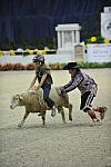 WIHS3-10-27-11-MuttonBusting-2749-DDeRosaPhoto.JPG