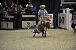 WIHS3-10-27-11-MuttonBusting-2799-DDeRosaPhoto.JPG