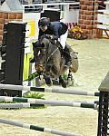 AnimalPlanet-WIHS5-10-29-11-PresCup-1133-Nemo119-LucyDavis-DDeRosaPhoto.JPG