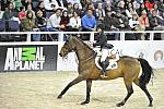 AnimalPlanet-WIHS5-10-29-11-PresCup-1177-RockyW-KaitlinCampbell-DDeRosaPhoto.JPG