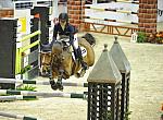 AnimalPlanet-WIHS5-10-29-11-PresCup-1337-Urban-BlytheMarano-DDeRosaPhoto.JPG