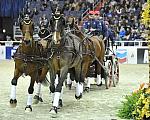 WIHS4-10-28-11-ChesterWeber-4277-DDeRosaPhoto.JPG