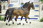 WIHS4-10-28-11-ChesterWeber-1004-DDeRosaPhoto.JPG