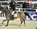DC-WIHS5-10-29-11-PresCup-1773-Carlo273-NickSkelton-DDeRosaPhoto.jpg