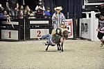 WIHS3-10-27-11-MuttonBusting-2799-DDeRosaPhoto.JPG
