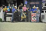 WIHS3-10-27-11-MuttonBusting-2832-DDeRosaPhoto.JPG