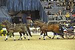 WIHS4-10-28-11-ChesterWeber-4226-DDeRosaPhoto.JPG