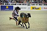WIHS3-10-27-11-MuttonBusting-2588-DDeRosaPhoto.JPG
