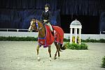 WIHS Childrens Hunter Championship