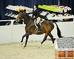 WIHS-10-25-11-Cl186ChHtrCH-DSC_7966-OnStar-RachelOkun-DDeRosaPhoto.JPG