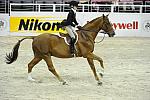 WIHS-10-25-11-Cl186ChHtrCH-DSC_7981-Quatro-ClaudiaStyslinger-DDeRosaPhoto.JPG