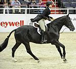 WIHS-10-25-11-Cl186ChHtrCH-DSC_8065-Casanova-AlexFedai-DDeRosaPhoto.JPG