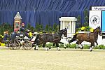 Driving-WIHS4-10-28-11-ChesterWeber-4265-DDeRosaPhoto
