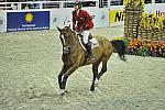 Jumpers-Aslan-LjubovKochetova-WIHS4-10-28-11-Puissance-8504-DDeRosaPhoto