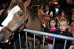 KidsDay-WIHS5-10-29-11-4939-DDeRosaPhoto