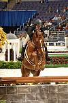 21-WIHS-MaryKateHassett-Guess-10-25-05-ChildrensHtrs-DDPhoto.JPG