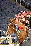 19-WIHS-ErickaSchaefer-MaizyToltien-10-26-06-AdultJpr-_DDPhoto_001.JPG