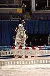 21-WIHS-PaigeJohnson-ReddyTeddy-10-26-06-A-OJprs-DDPhoto.JPG