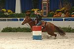 11-WIHS-KatieCodd-BarrelRacing-10-27-05-DDPhoto.JPG