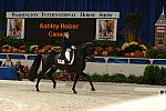 Dressage