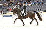 10-WIHS-AshleyHolzer-Gambol-Dressage-10-27-05-DDPhoto.JPG