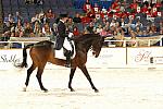 20-WIHS-CathyMorelli-BeSe-Dressage-10-27-05-DDPhoto.JPG