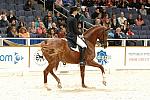 33-WIHS-HeatherBlitz-Arabella-Dressage-10-27-05-DDPhoto.JPG