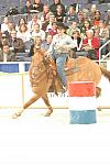 03-WIHS-LaceyDelp-10-28-05-BarrelRacing-DDPhoto.JPG