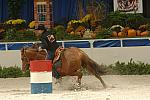 32-WIHS-CarolKersteter-10-28-05-BarrelRacing-DDPhoto.JPG